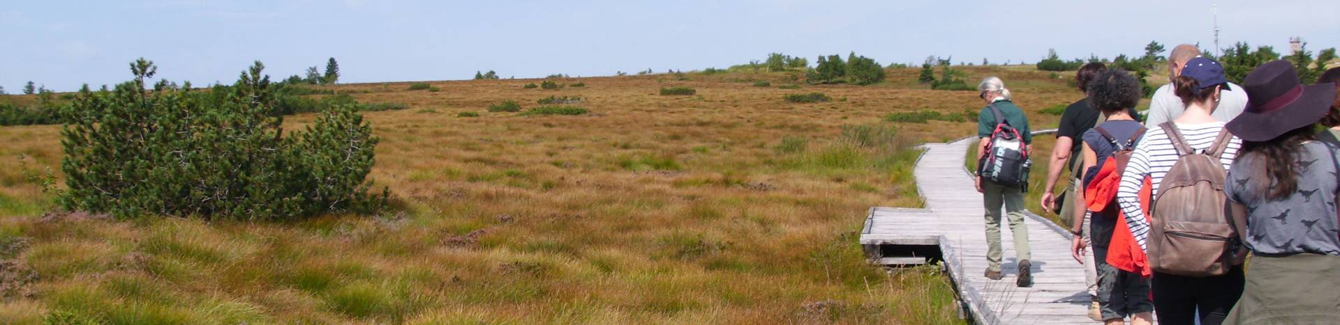 Quelle: Renate Faltin Wandergruppe auf dem Hochmoorweg auf der Hornisgrinde